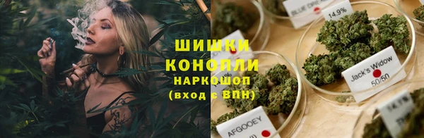 ECSTASY Елизово