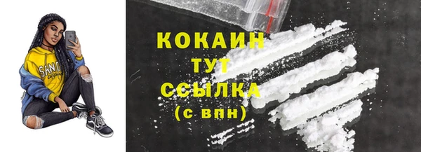 ECSTASY Елизово