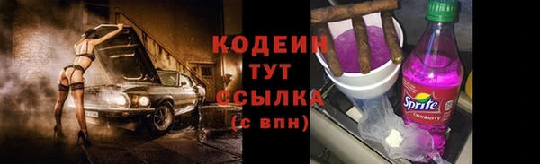 ECSTASY Елизово