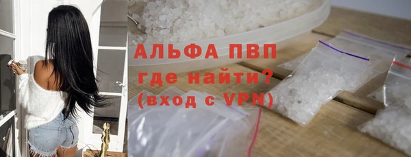 ECSTASY Елизово
