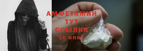ECSTASY Елизово