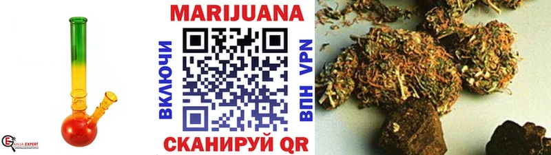 Купить где  Горно-Алтайск  Бошки марихуана сатива 